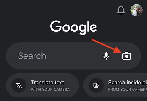 Click the Camera icon to open Google Lens in the Google App