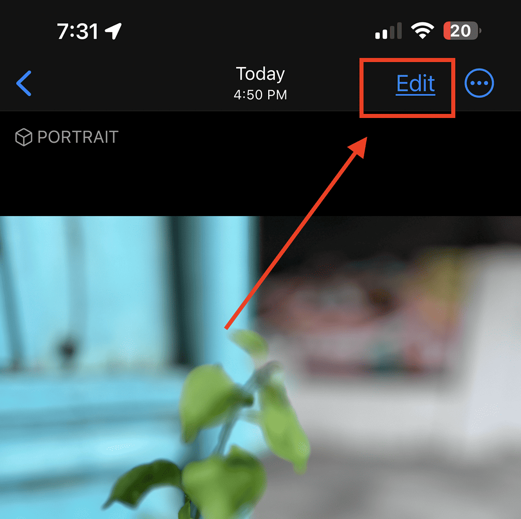 3 Quick Ways to Blur Photos Background on iPhone - The Mac Observer