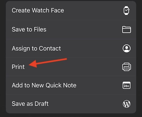 Hit the print button when sharing to bring up the print options.