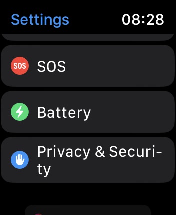apple watch settings app