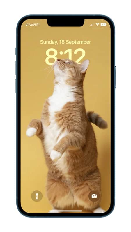 Cat depth effect wallpaper for iPhone 