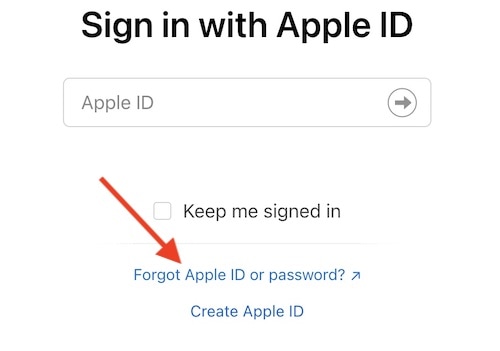 Select Forgot Apple ID or Password.