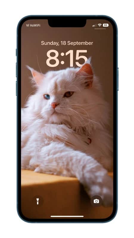 Cat with Heterochromia  Depth effect wallpaper for iPhone
