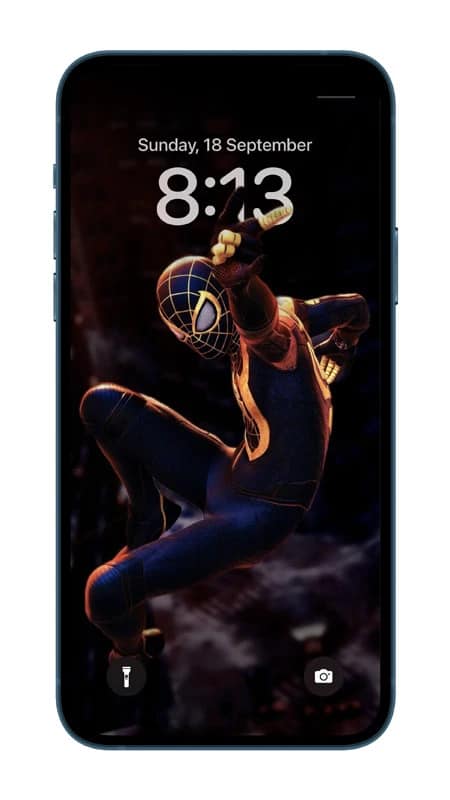 Spiderman in Black and Gold
