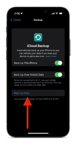 Tap Backup Now on the Backup page