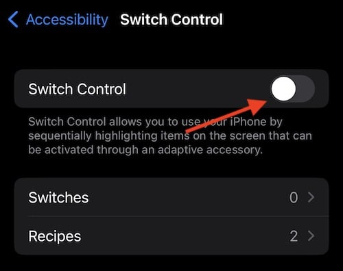 Switch Control is under Accessibility Settings. 