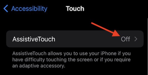 Ensure that Assistive Touch is turned off before enabling Switch Control.