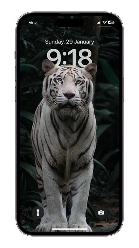 White Tiger depth effect wallpaper for iPhone 