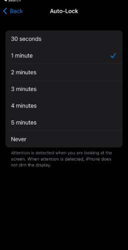 iPhone auto lock timer duration