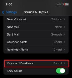 keyboard feedback in iPhone keyboard Randomly 