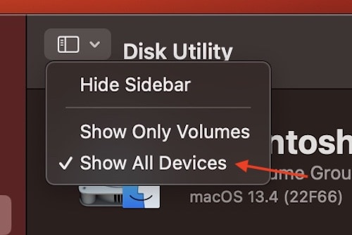 Make sure that you have Show All Devices selected in Disk Utility.