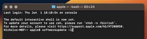 Terminal can be a great way to get an update if you're receiving the Unable to check for updates error on Mac.