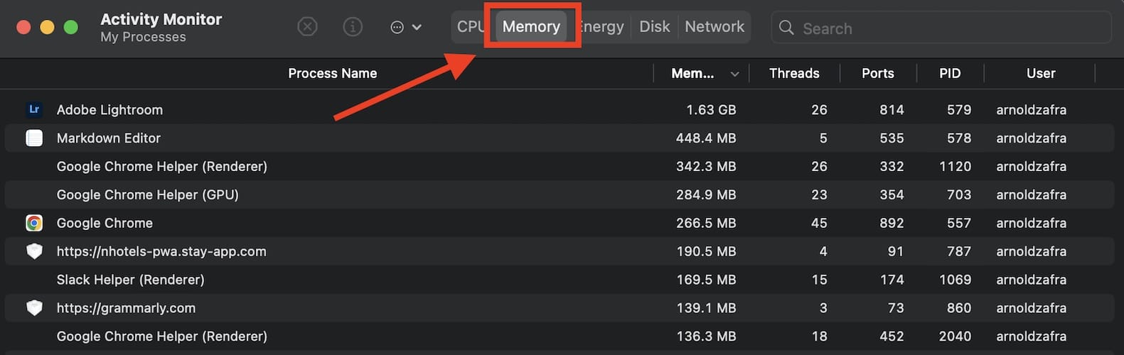 Activity Monitor Memory screenshot