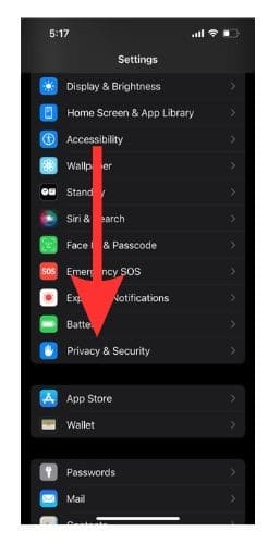 Select Privacy and Security in your Settings menu