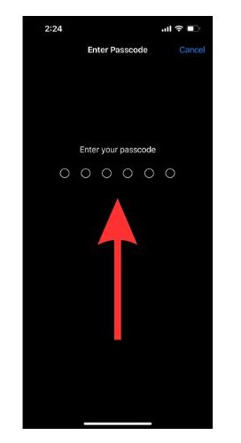 Enter the new passcode you have set for your iPhone