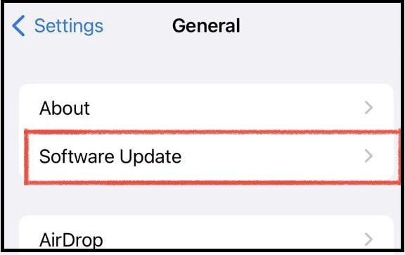 Tap on Software Updates