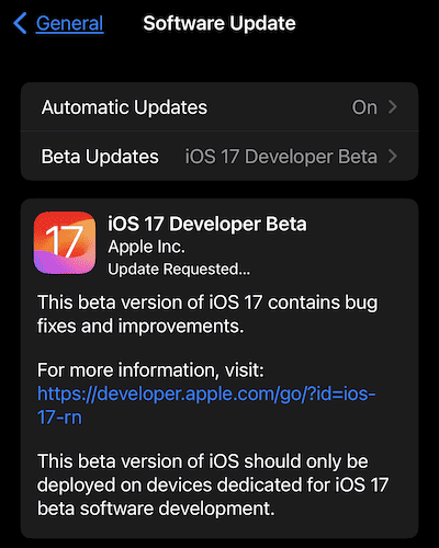 iOS 17 Developer Beta in Software Update