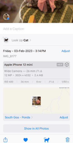 changed iPhone photo location using Photos app