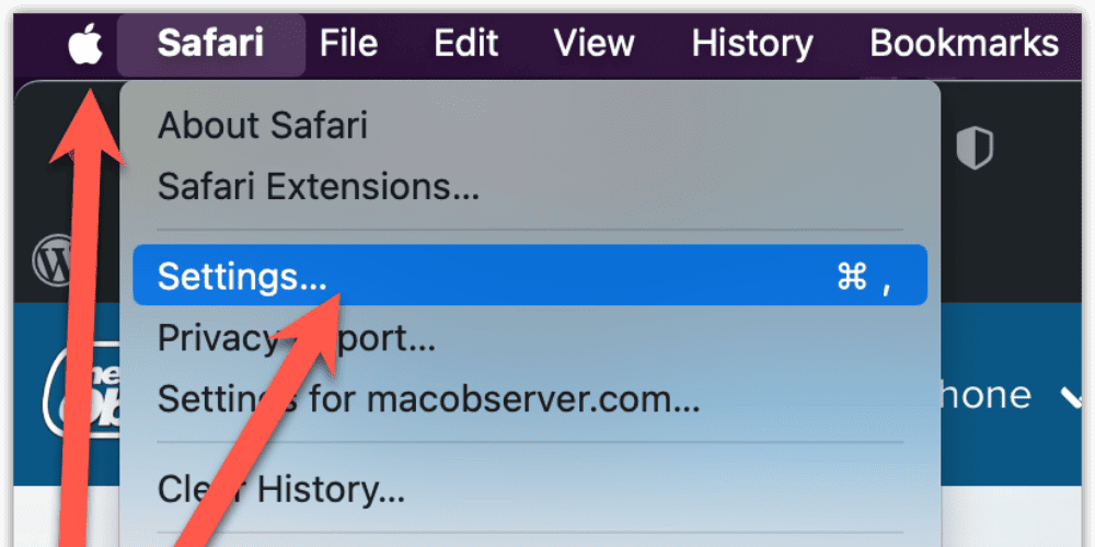 safari browser settings 