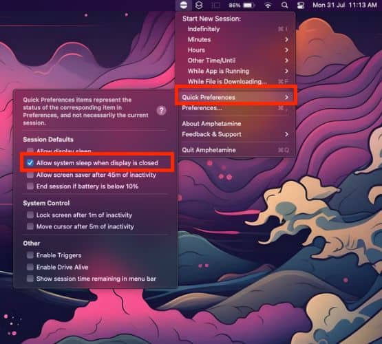 Click Quick Preferences and then click Allow system sleep when display is closed option