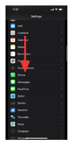 Open Settings and Select Phone