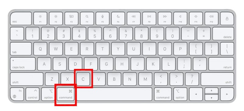 Press Command + C to Copy text on your Mac's keyboard