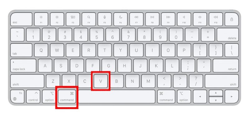 Press Command + V on your Mac's keyboard to Paste the text