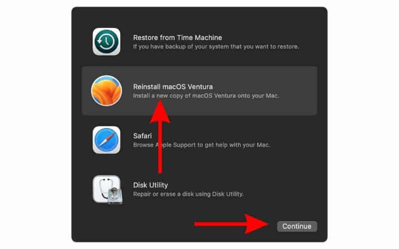 Select the Reinstall macOS option and click Continue