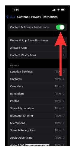 Turn on the toggle for Content and Privacy Restrictions