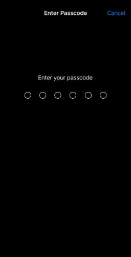 iPhone passcode enter screen