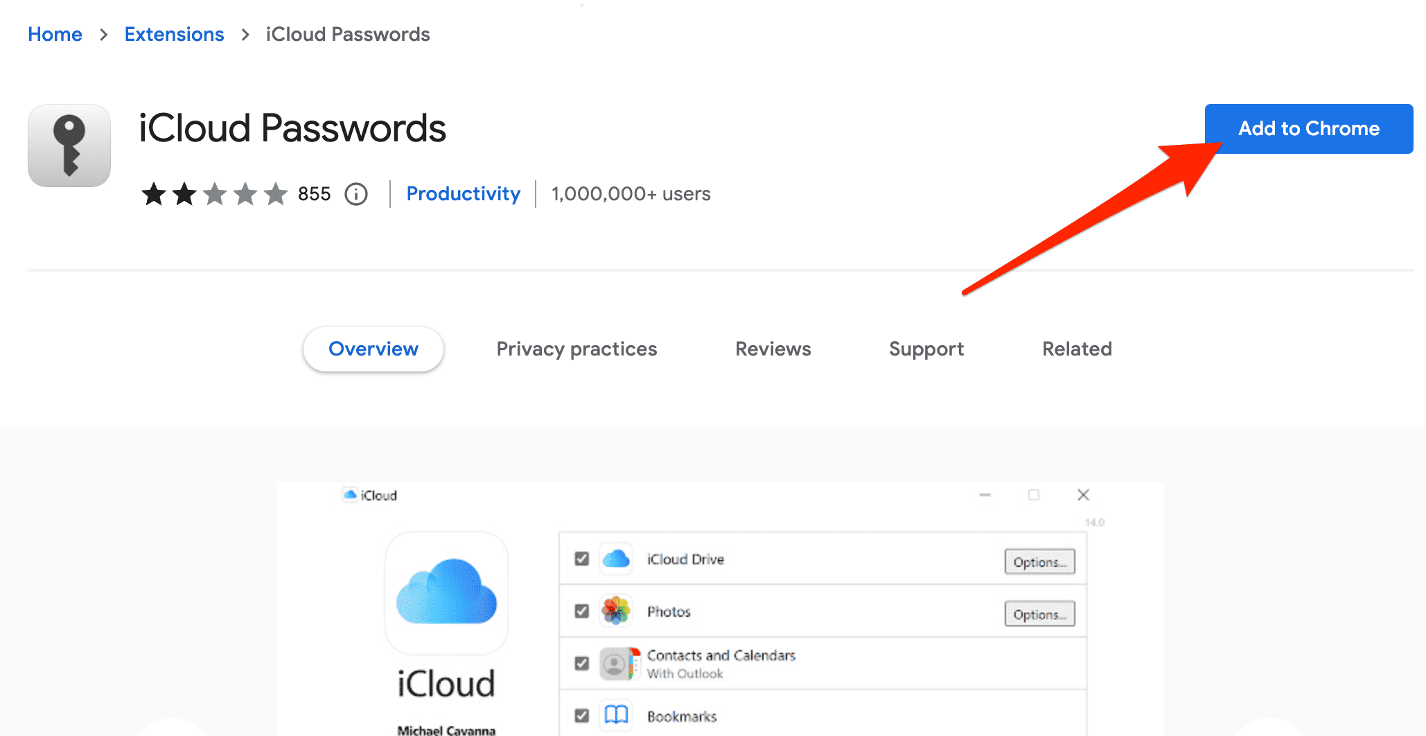 iCloud Passwords - Chrome Web Store