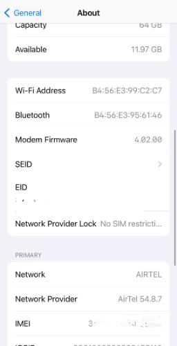 iPhone IMEI, EID and other device details