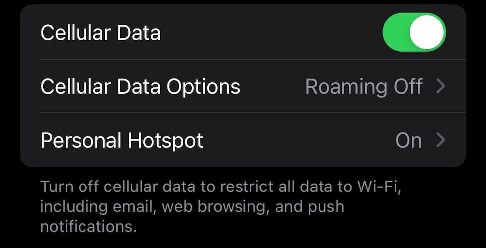 Cellular Data Options iPhone Phone App Not Working