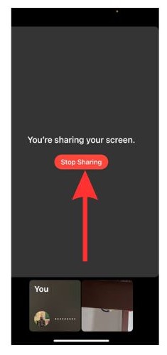 Click on Stop Sharing to stop screen share