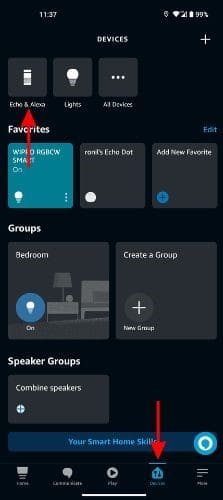In the Devices tab, tap the Echo and Alexa option
