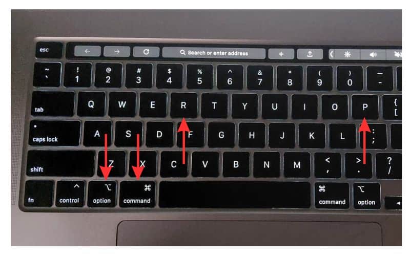 Press and hold Option + Command + P + R keys