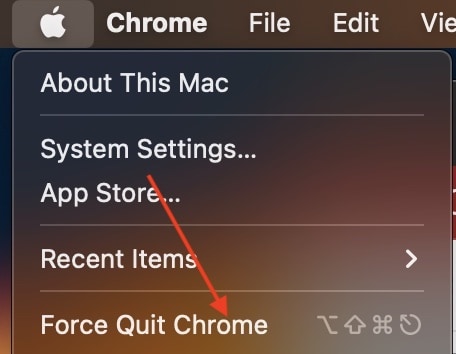 Select Force Quit Mac App