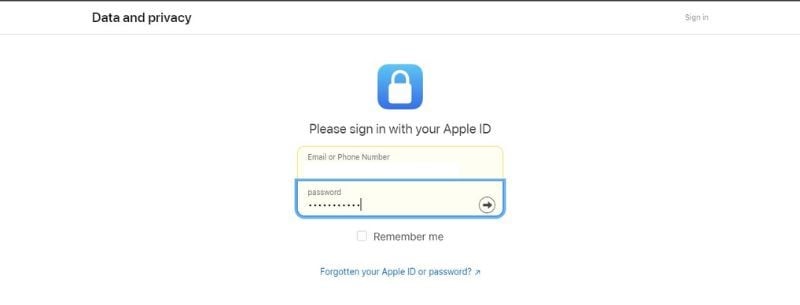 Sign in using your Apple ID credentials
