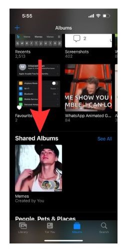 The Shared Album can be found in the Shared Album section