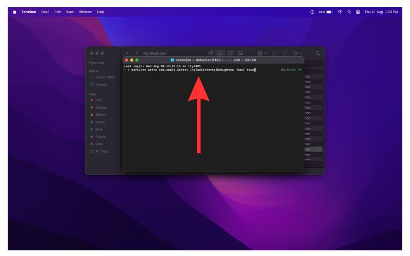 Type terminal command to disable Safari debug menu