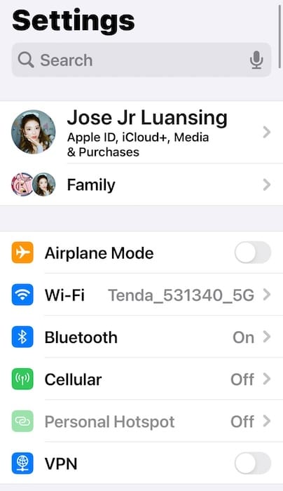 The Home Screen of iOS Device Settings