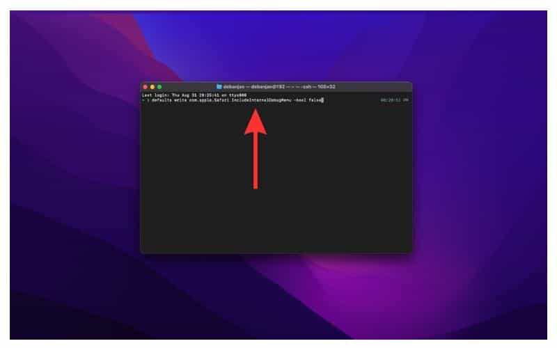 hide safari debug menu on terminal