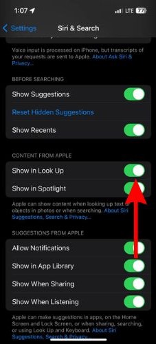 Enable the Show in Look Up toggle to fix Visual Look Up not working on iPhone