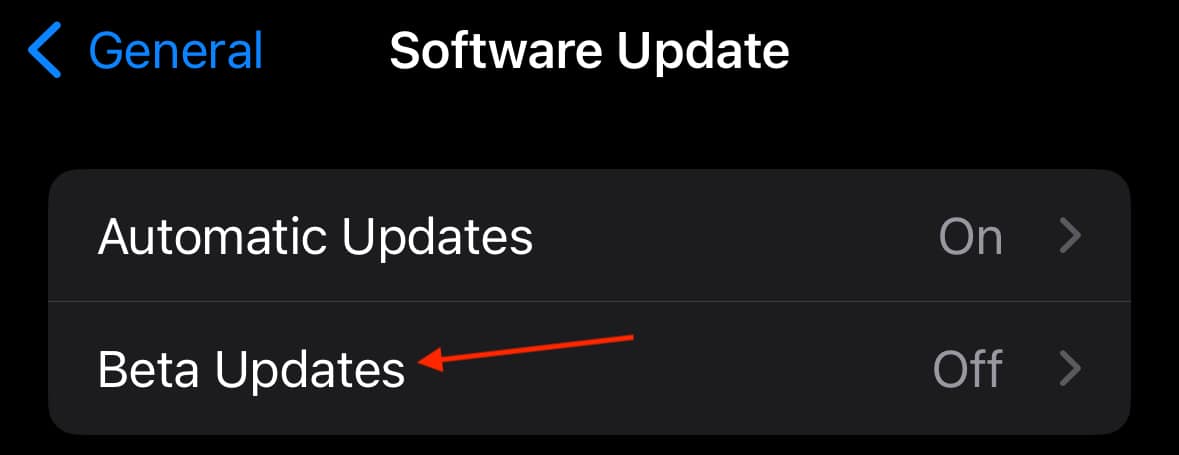 Ensure Beta Updates is off in Settings > General > Software Updates > Beta Updates