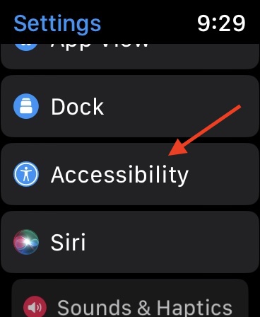 Tap Accessibility on your Apple Watch Series 9.
