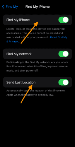 Enable Find My and Send last location option