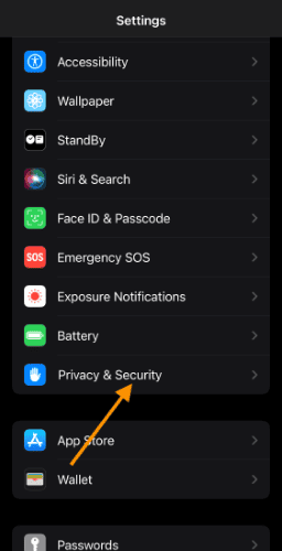 iPhone Privacy & Security settings
