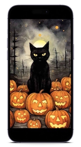 Best Halloweeen Wallpapers iPhone Black Cat Pumpkin