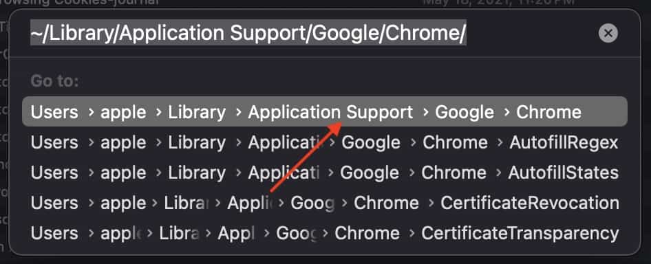 Use the search string to find this Google Chrome folder.
