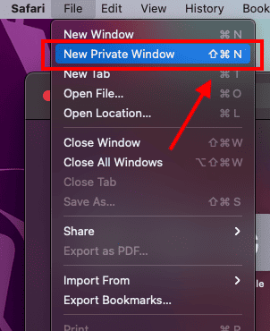 Click File, Select New private Window
